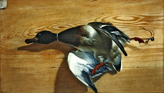 A duck on a pine board à Jean Jacques Bachelier