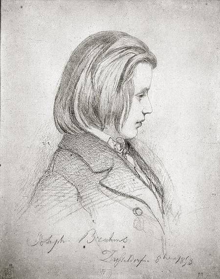 Portrait of Johanes Brahms (1833-97) aged Twenty à Jean Joseph Bonaventure Laurens
