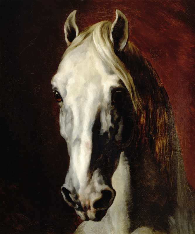 Tête d'un cheval blanc à Jean Louis Théodore Géricault