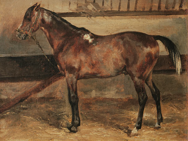 Brown Horse in the Stalls à Jean Louis Théodore Géricault