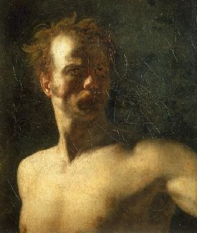 Study of a Man