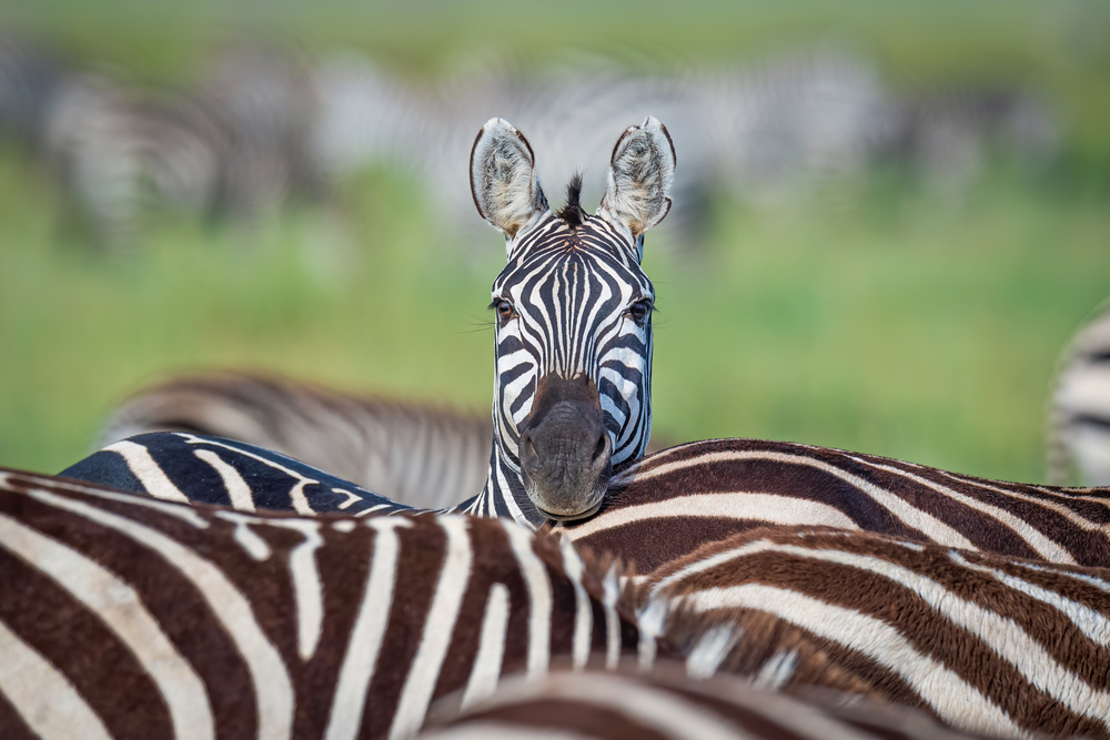 Make a difference....stand out in the crowd à Jeffrey C. Sink