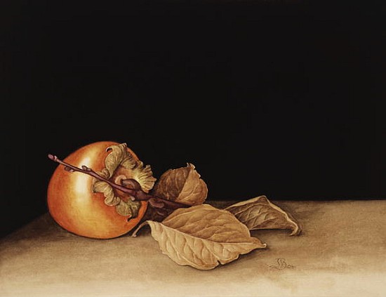 Persimmon, 2004 (w/c on paper)  à Jenny  Barron