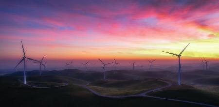 The Windmill Farm at Dawn