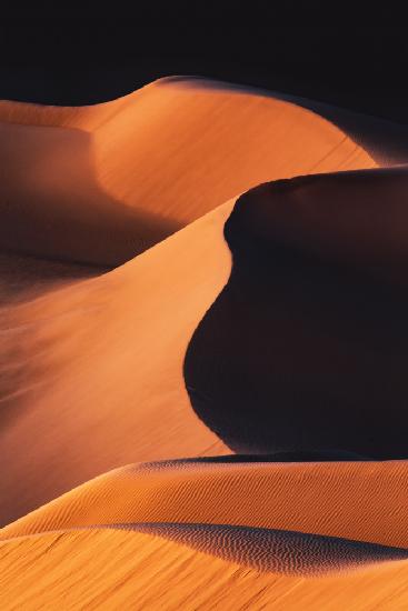 Sand Dunes under the Morning Sun