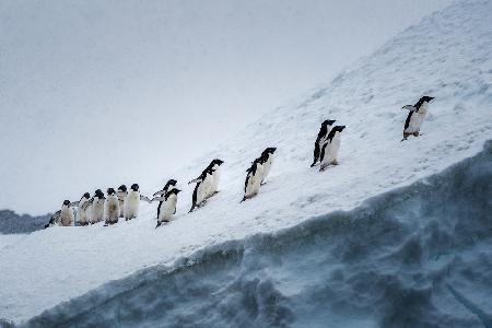 Climbing the mountain together