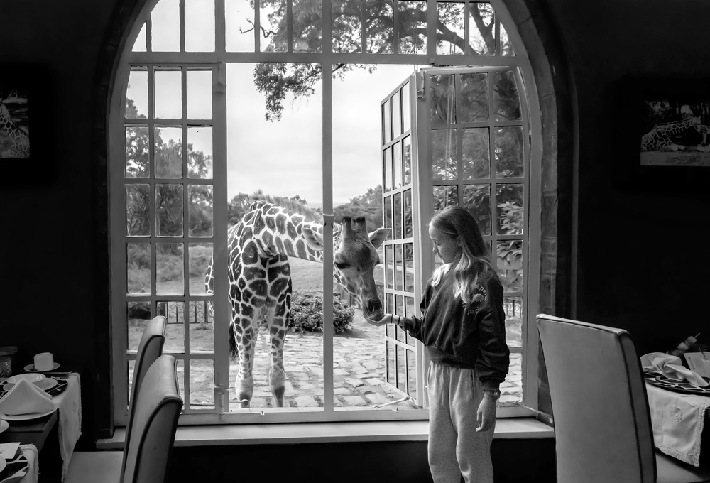 Giraffe and girl à Jie Fischer