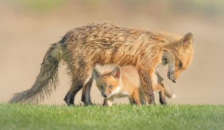 Playing Under Mother