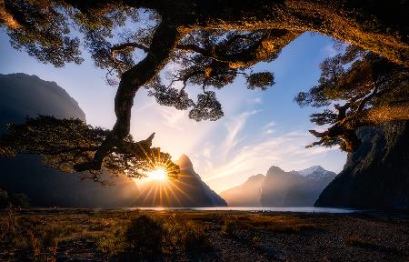 Sunny Day in Milford Sound