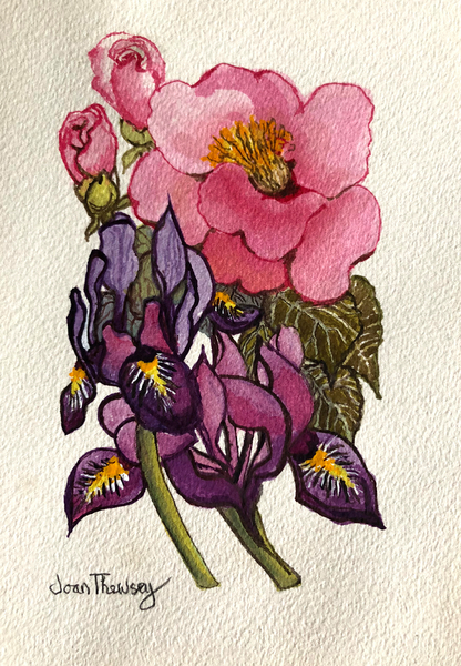 Camellia and Dutch Iris à Joan  Thewsey