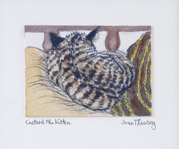 Custard the Kitten à Joan  Thewsey