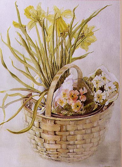 Daffodil Basket (w/c on paper)  à Joan  Thewsey