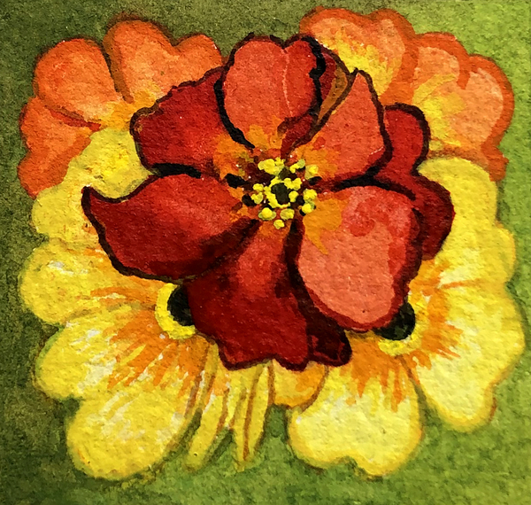 Five Primroses, red, yellow and orange à Joan  Thewsey