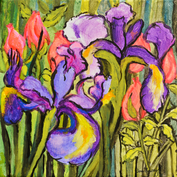 Irises and Roses à Joan  Thewsey