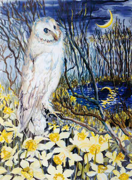 Owl (w/c on paper)  à Joan  Thewsey