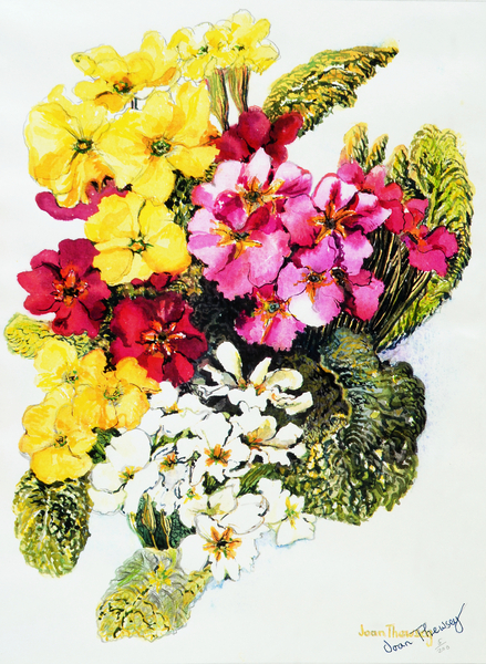 Primroses,White,Yellow,Pink and Red à Joan  Thewsey