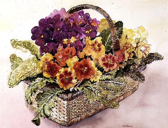 Primulas in a Basket (w/c)  à Joan  Thewsey