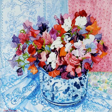 Sweet Peas in a Blue and White Pot