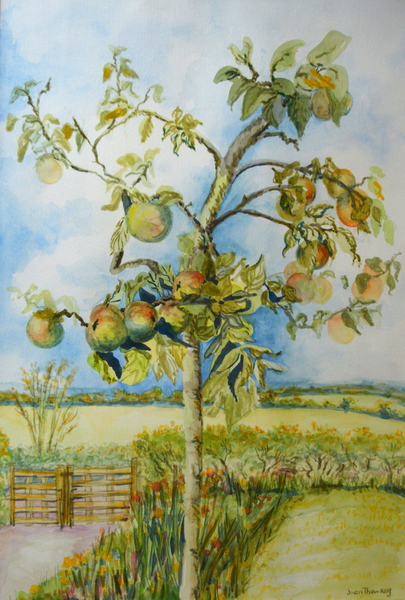 The Apple Tree à Joan  Thewsey