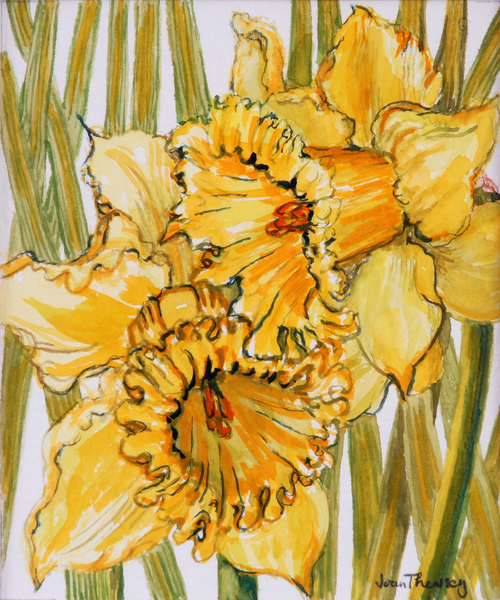 Two Daffodils à Joan  Thewsey