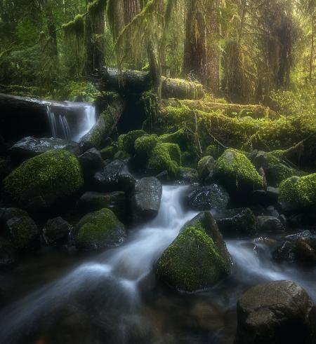 Sol Duc Cascade in spring