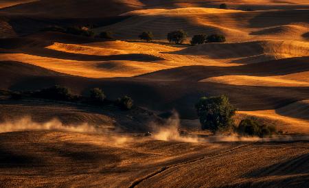 Palouse Wheat Field In August