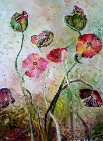 Poppies