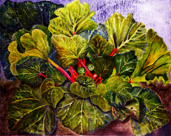 rhubarb à jocasta shakespeare