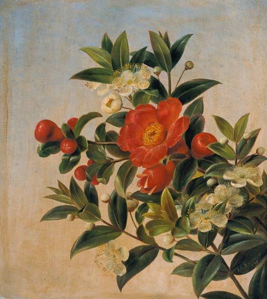 Flowers à Johan Laurentz Jensen