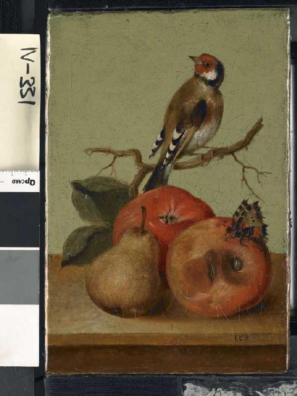 Fruchtstück mit Buntfink und Schmetterling. à Johann Conrad Seekatz