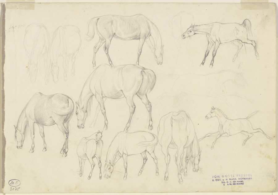 Study sheet: Horses à Johann Erdmann Gottlieb Prestel