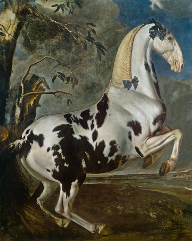 The Piebald Stallion at the Eisgruber Stud à Johann Georg Hamilton