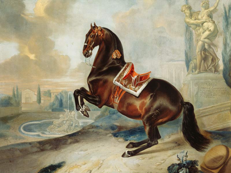 The dark bay horse 'Valido' performing a Levade movement à Johann Georg Hamilton