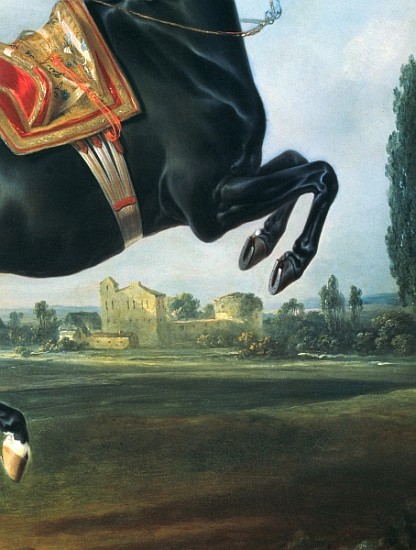 A black horse performing the Courbette (detail of 65652) à Johann Georg Hamilton