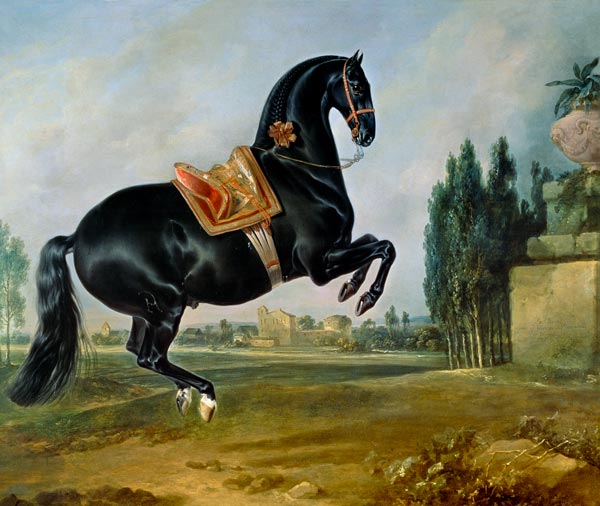 A black horse performing the Courbette, or Croupade à Johann Georg Hamilton