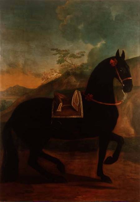 A Black Horse sporting a Spanish Saddle à Johann Georg Hamilton