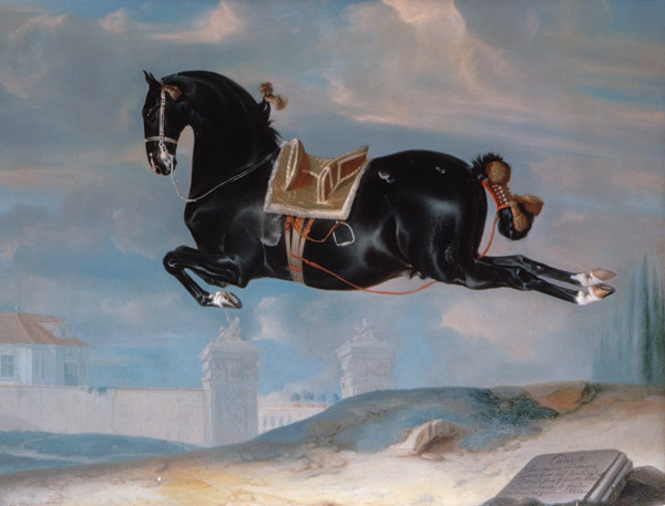 The black horse 'Curioso' performing a Capriole à Johann Georg Hamilton