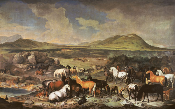 The Imperial Stud with Lipizzaner Horses à Johann Georg Hamilton