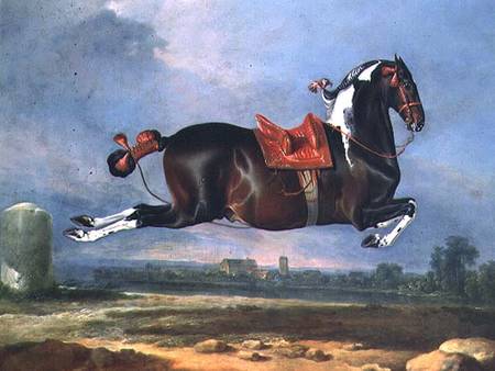The piebald horse 'Cehero' rearing à Johann Georg Hamilton