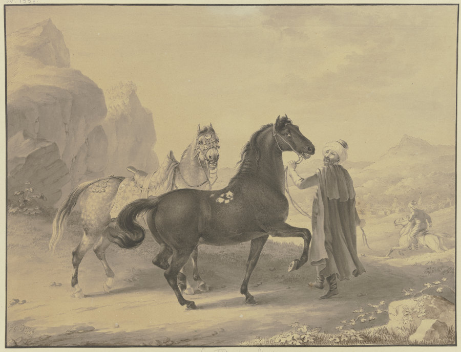 Turkish horses à Johann Georg Pforr