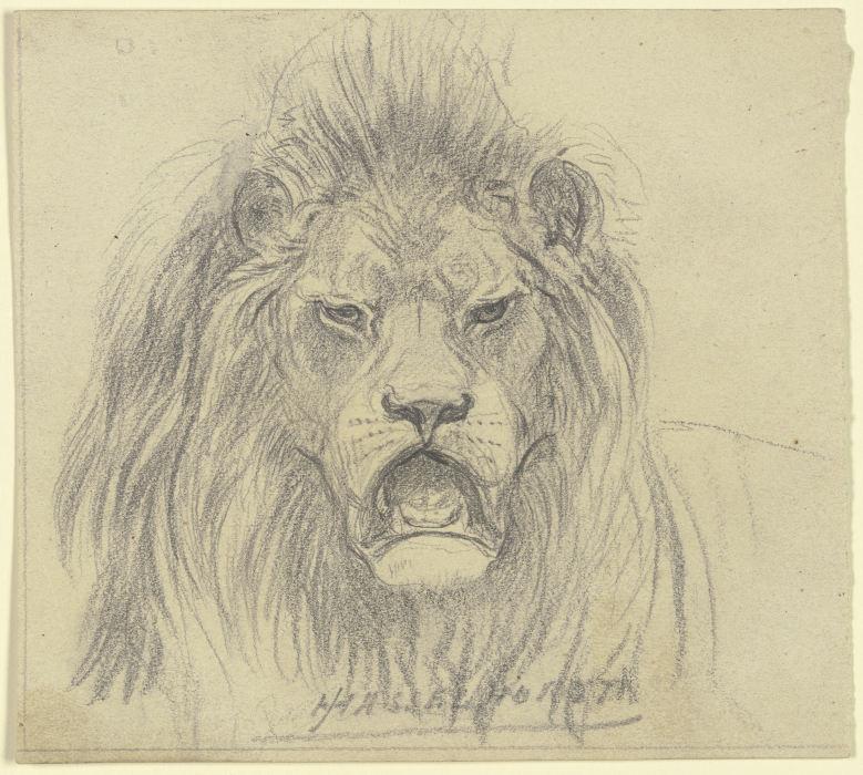 Lions head à Johann Heinrich Hasselhorst
