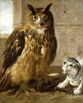 Eagle Owl and Cat with Dead Rats