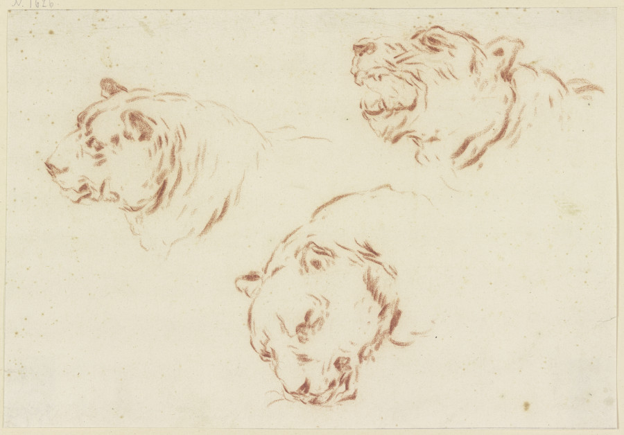 Three tiger heads à Johann Melchior Roos