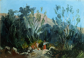 Jalapa et Cordoba. à Johann Moritz Rugendas