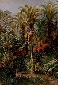 Végétation tropicale à Johann Moritz Rugendas
