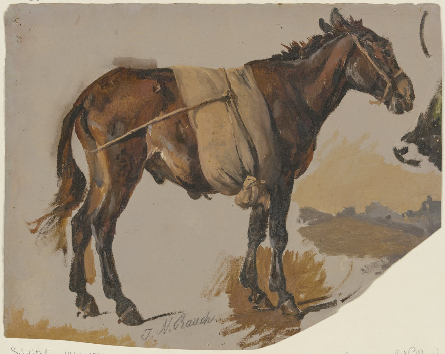 A mule à Johann Nepomuk Rauch