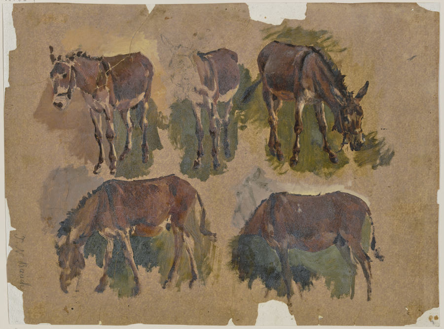 Five mules à Johann Nepomuk Rauch