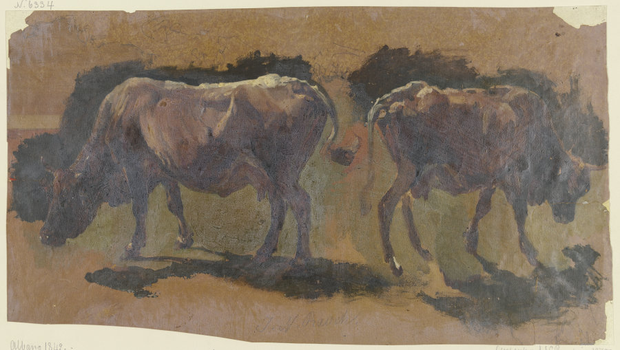 Two cows in Albano à Johann Nepomuk Rauch