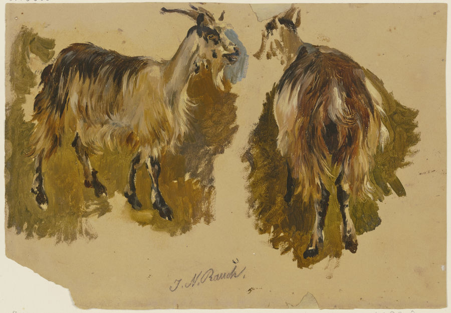 Two goats à Johann Nepomuk Rauch