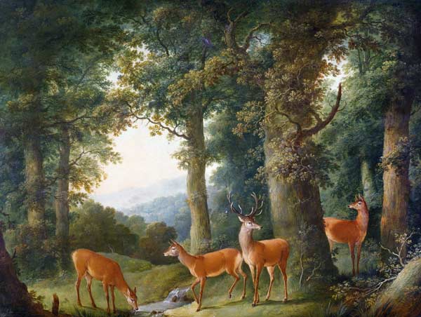 Waldlandschaft mit Rotwild à Johann Andreas Herrlein